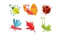 Flat vector set of cute insects and red leaf. Grasshopper, butterfly, ladybug and mosquito. Funny cartoon characters