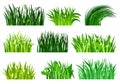 Flat vector set of different decorative grass borders. Bright green wild herb. Nature and botany theme. Natural