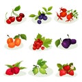 Flat vector set of different kinds of tasty berries. Sweet and healthy food. Elements for juice or yogurt packaging