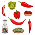 Flat vector set of fresh peppers and condiments. Organic vegetable. Fragrant spice. Cooking ingredients