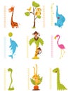 Flat vector set of rulers for measuring kids growth with cute animals and birds. Decorative meter wall stickers for