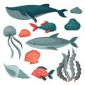 Flat vector set of sea animals and objects. Big and small fishes, jellyfish, stones, seaweed and marine shells