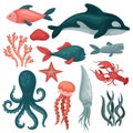 Flat vector set of sea animals and objects. Fishes, jellyfish, red crab, squid, octopus, seastar, seaweeds and stones