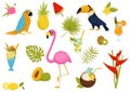 Flat vector set of tropical elements. Beautiful birds, tasty cocktails and fruits, ice-cream, flowers and leaves of palm Royalty Free Stock Photo