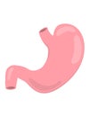 Flat vector stomach icon