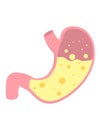 Flat vector stomach icon