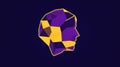 Abstract Polygonal Head Royalty Free Stock Photo