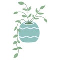 Flat vector tradescantia plants. Hand drawn icon. Houseplants illustration. Indoor flower sign. Vector flat doodle in
