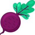 Flat Vegetable Organic Turnip Icon