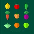 Flat vegetarian icons. Fruit and vegetables icons with shadow on a dark background.