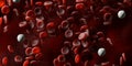 Flat view of red and white blood cells or corpuscles in human vein or artery close up macro, medical Royalty Free Stock Photo