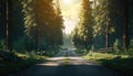 Flat view of road through green forest, healthy rain forest, environment, health, green economy, view of nature ecosystem for