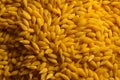 Flat view of wheat berries in yellow hue, touched by sliminess