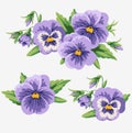 Flat vintage violets and bud collection. Decorative bouquet of flowers.