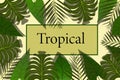 Flat warm tropical background of design