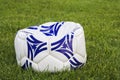 Flat White and Blue Soccer Ball on Grass Royalty Free Stock Photo