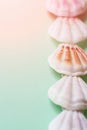 Flat White Pink Brown Sea Shells Arranged in Border Frame on Light Green Turquoise Background. Delicate Pastel Color Tones