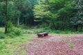 A flat wooden bench in the middle of Saryuni Forest on a dirt pathway in Jeju Isand, South Korea Royalty Free Stock Photo