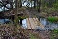 Flat Wooden Foot Bridge Over Creek Royalty Free Stock Photo