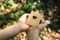 Flat wooden house shape in child hands against a forest background.