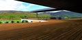 A flat wooden plank floor on a spacious terrace of a chic country house overlooking young palm trees against a mountain landscape