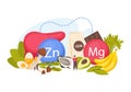 Flat Zinc Magnesium Food Composition Royalty Free Stock Photo