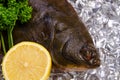 Flatfish