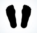 Bones of the foot. Vector drawing Royalty Free Stock Photo