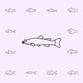 flathead catfish icon. Fish icons universal set for web and mobile