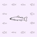 flathead catfish icon. Fish icons universal set for web and mobile Royalty Free Stock Photo