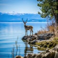 Flathead Lake  Made With Generative AI illustration Royalty Free Stock Photo