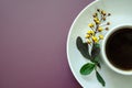 Flatlay  close-up composition a cup of coffee and on a round saucer lies a twig with small yellow flowers and leaves Royalty Free Stock Photo