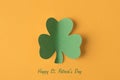 Flatlay close up view photo of green clover isolated bright yellow backdrop with text