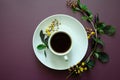 Flatlay A cup of coffee and on a round saucer lies a twig with small yellow flowers and leaves Flat lay white on a dark purple Royalty Free Stock Photo