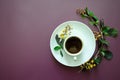 Flatlay A cup of coffee and on a round saucer lies a twig with small yellow flowers and leaves Flat lay white on a dark purple Royalty Free Stock Photo