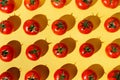 Flatlay of fresh red ripe tomatoes knolled Royalty Free Stock Photo