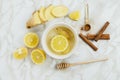 Flatlay of healthy drink with lemon, fresh ginger root, cinnamon sticks and agave syrup on marble