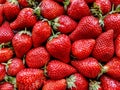 Flatlay from a large number of strawberries. Natural background