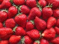 Flatlay from a large number of strawberries. Natural background