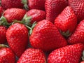 Flatlay from a large number of strawberries. Natural background