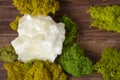 Flatlay with a large piece of white quartz among moss on a wooden background.