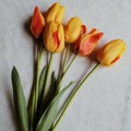 Flatlay of orange tulips