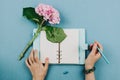Flatlay of pink hortensia flower, blue notebook and woman`s hands Royalty Free Stock Photo