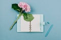 Flatlay of pink hortensia flower, opened blue notebook and pen Royalty Free Stock Photo