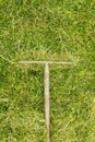 Flatlay, rake on a green meadow, gardening Royalty Free Stock Photo