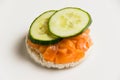 Flatlay, sandwich with cucumber and red fish on a white background