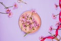 Flatlay with violet daises in pink plate, scissors and ribbo Royalty Free Stock Photo
