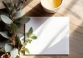 Flatlay with white empty sheet copy space for text Royalty Free Stock Photo