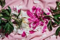 Flatlay of withered peonies on pink drapery