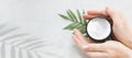 Flatlay. Woman putting nutritious cream on her hands on white background among jar of cosmetic cream, leaf palm branch